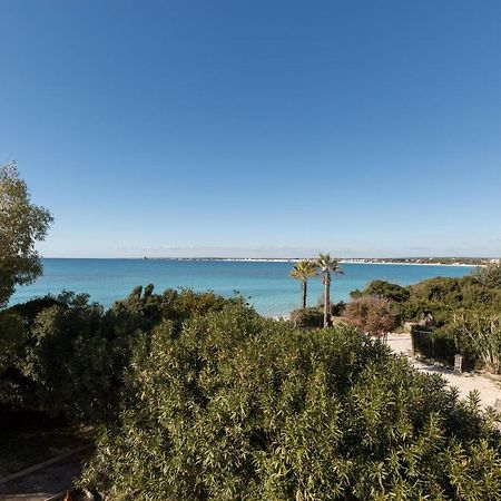 Villa Bassamarea Porto Cesareo Exterior photo